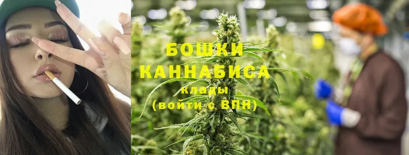 Канабис OG Kush  Прохладный 